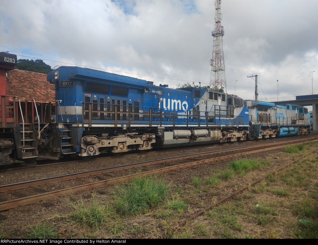 RUMO 8317